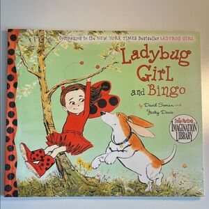 Ladybug Girl and Bingo Book